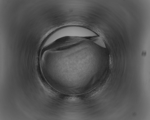 X0000090900348200708270949