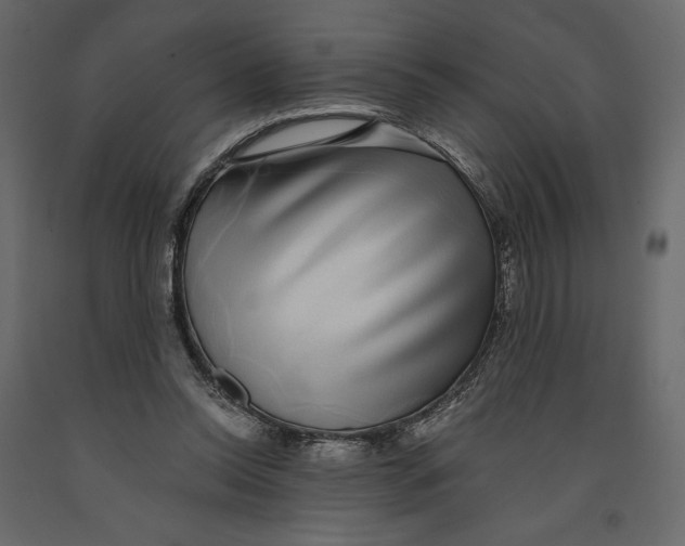 X0000090900350200708270949