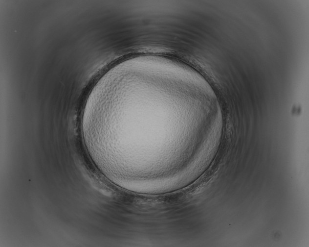 X0000090900351200708270949