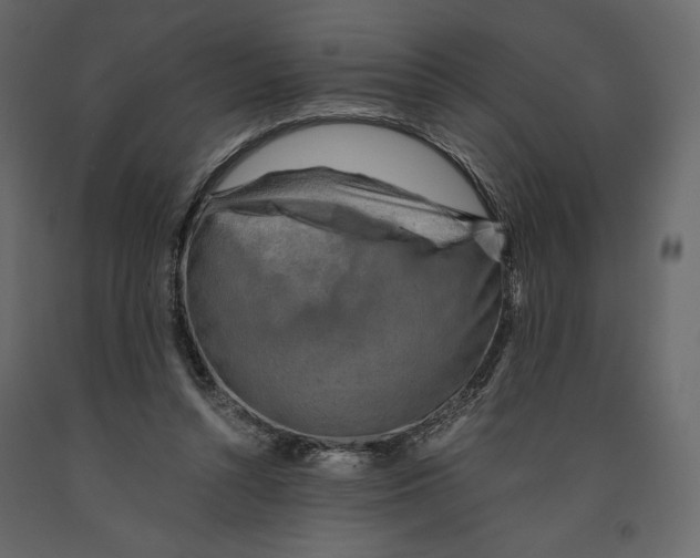 X0000090900352200708270949