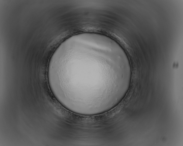 X0000090900353200708270949