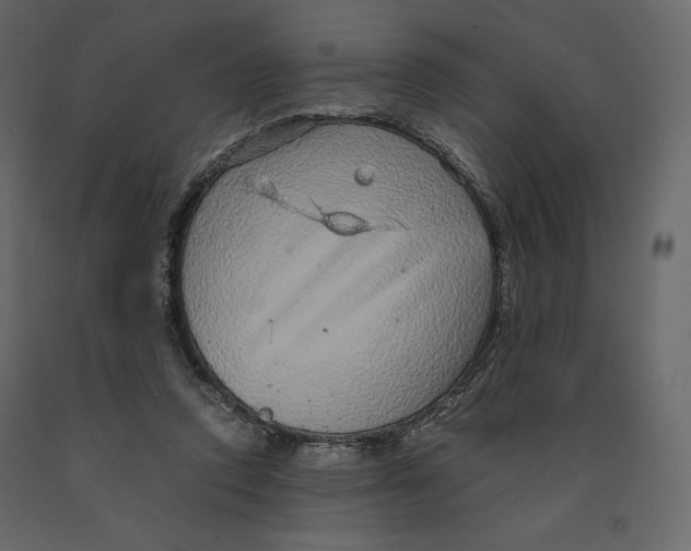 X0000090900354200708270949