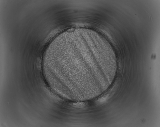 X0000090900357200708270949