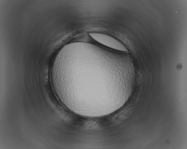 X0000090900358200708270949