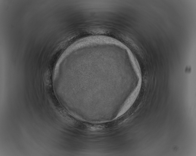 X0000090900359200708270949