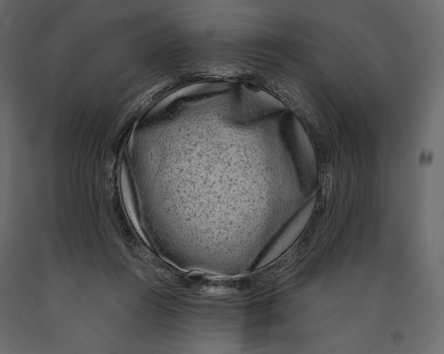 X0000090900360200708270949