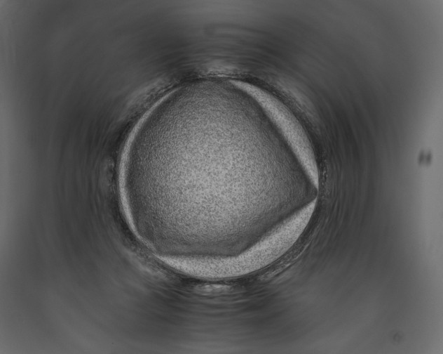 X0000090900361200708270949