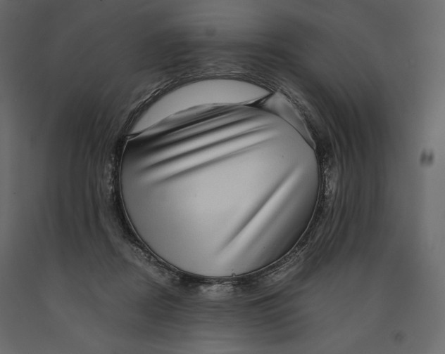 X0000090900362200708270949