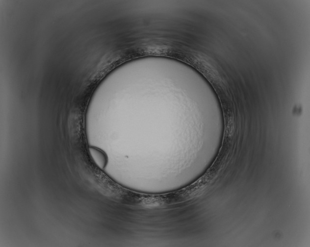 X0000090900363200708270949