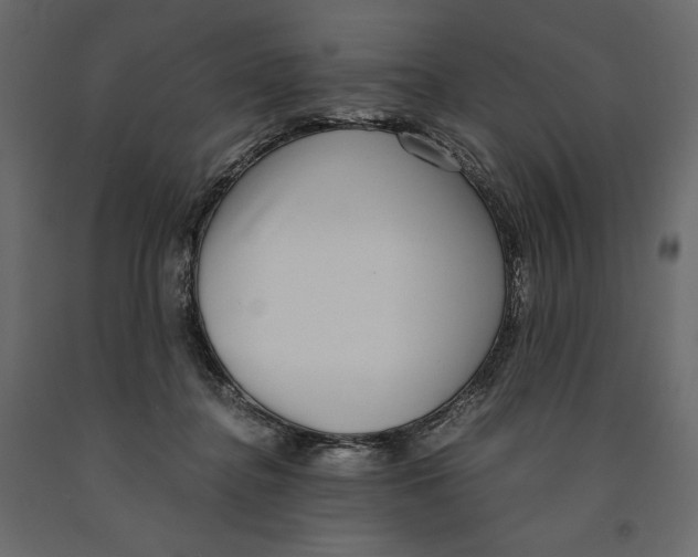 X0000090900364200708270949