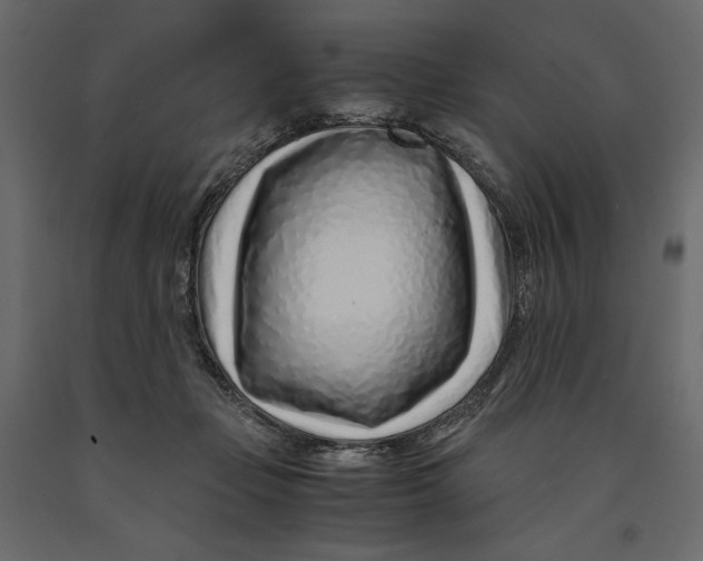 X0000090900365200708270949