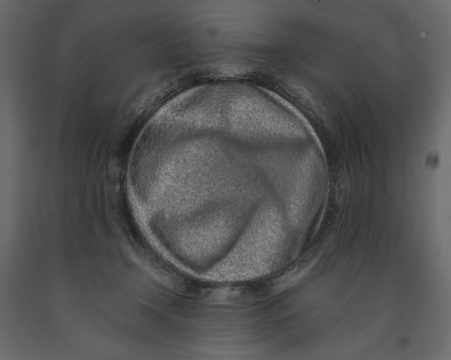 X0000090900366200708270949