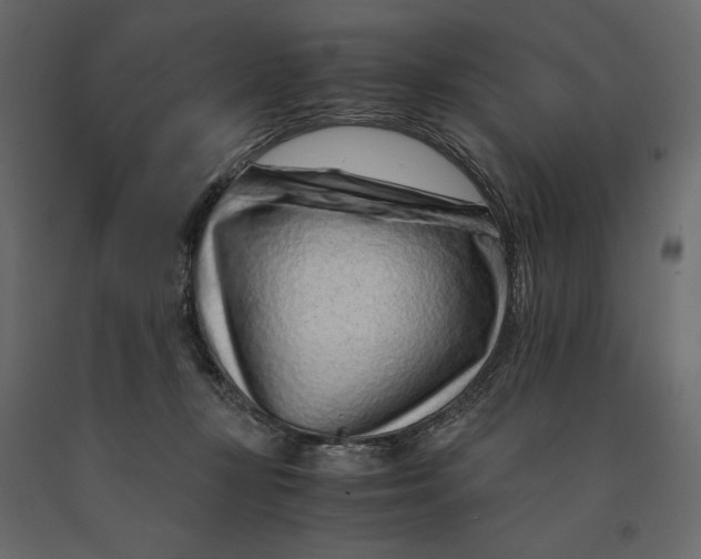 X0000090900367200708270949