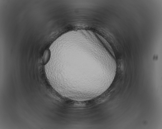 X0000090900369200708270949