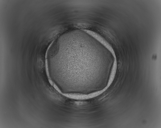 X0000090900371200708270949