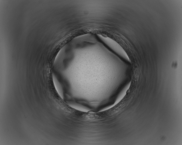 X0000090900372200708270949