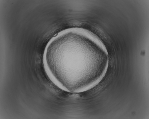 X0000090900374200708270949