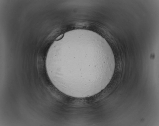 X0000090900375200708270949