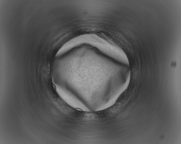 X0000090900376200708270949