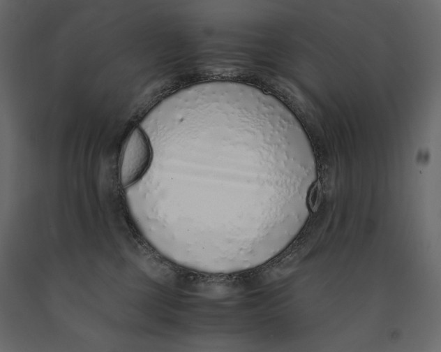 X0000090900377200708270949