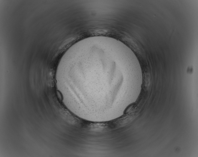 X0000090900378200708270949