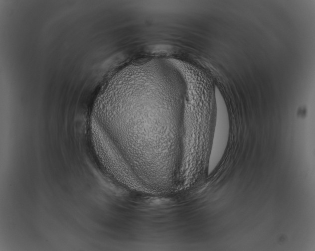 X0000090900379200708270949