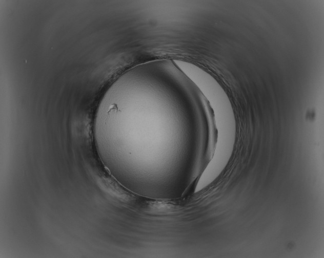 X0000090900380200708270949