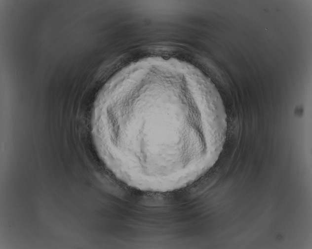X0000090900381200708270949