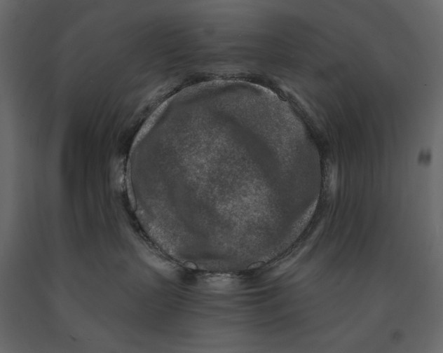 X0000090900383200708270949