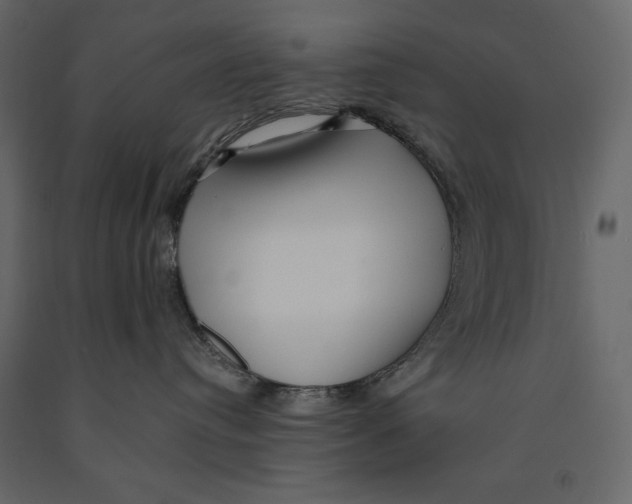 X0000090900384200708270949