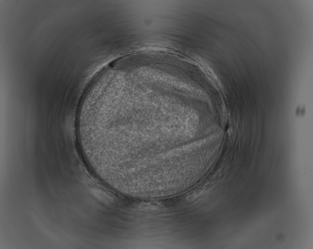 X0000090900386200708270949