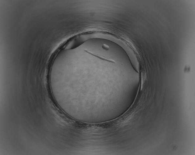 X0000090900387200708270949