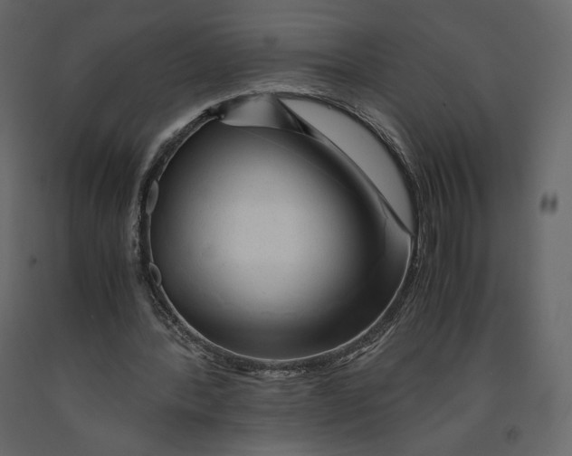 X0000090900388200708270949