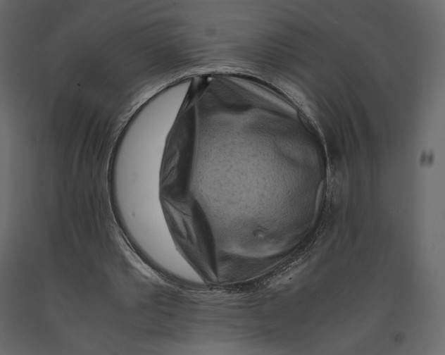 X0000090900389200708270949