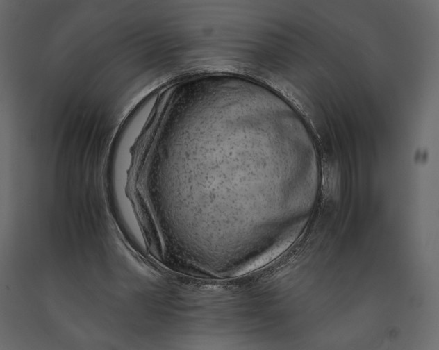 X0000090900390200708270949