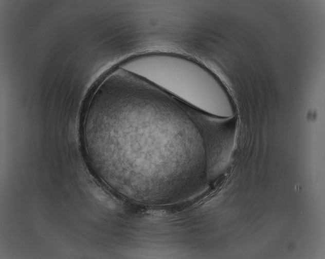 X0000090900391200708270949