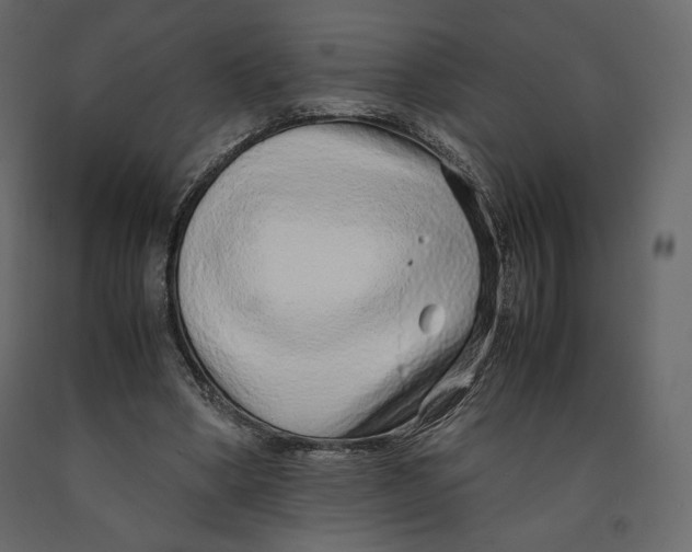 X0000090900394200708270949