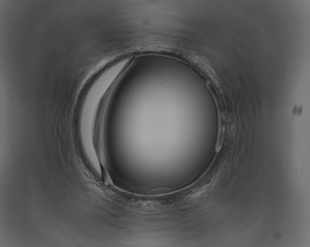 X0000090900395200708270949