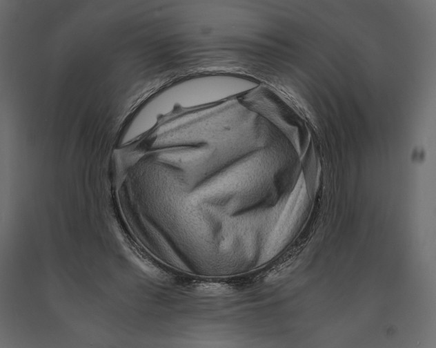 X0000090900397200708270949