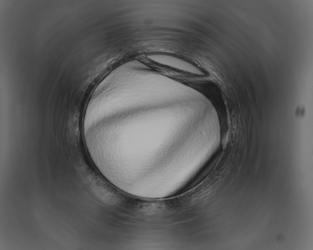 X0000090900398200708270949