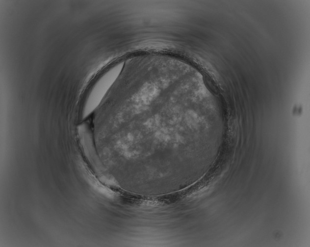 X0000090900399200708270949