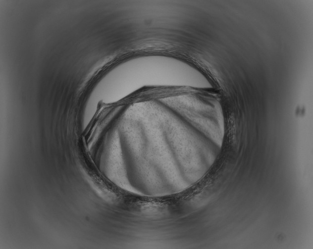 X0000090900400200708270949
