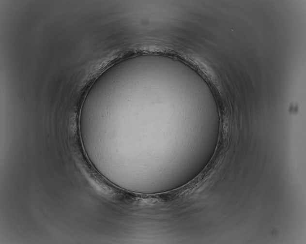 X0000090900401200708270949
