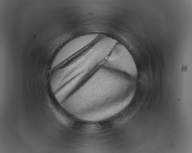 X0000090900402200708270949