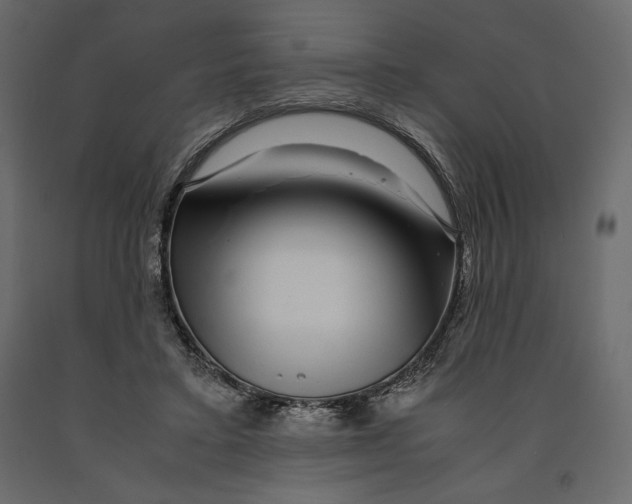X0000090900403200708270949