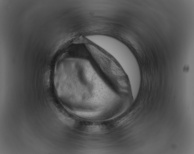 X0000090900404200708270948