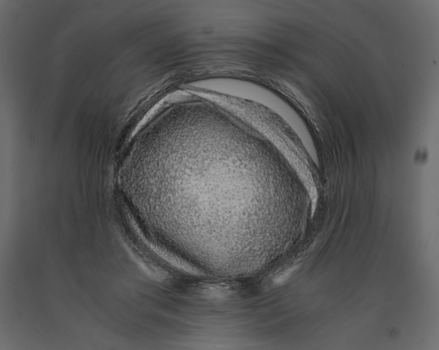 X0000090900405200708270948