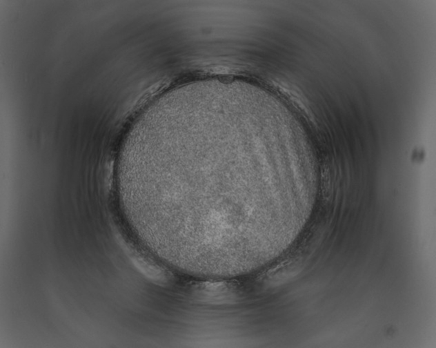 X0000090900406200708270948