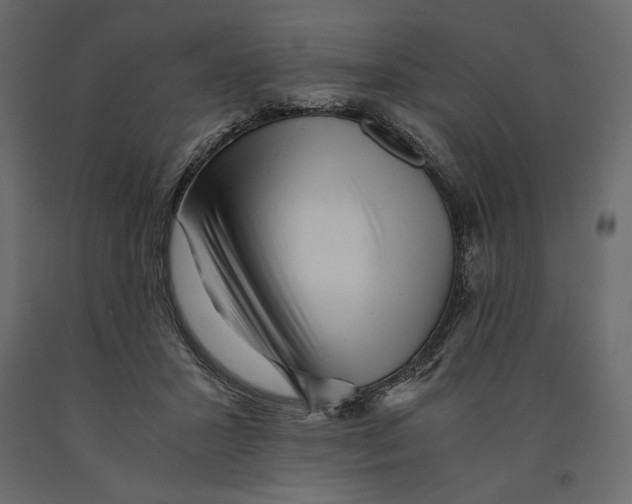 X0000090900407200708270948