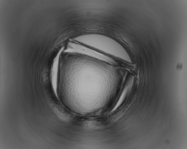 X0000090900408200708270948